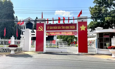 Ninh Thuận thanh tra 52 ha đất ven biển