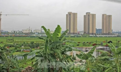 Bắc Giang xử phạt và 'bêu tên' loạt dự án vi phạm đất đai