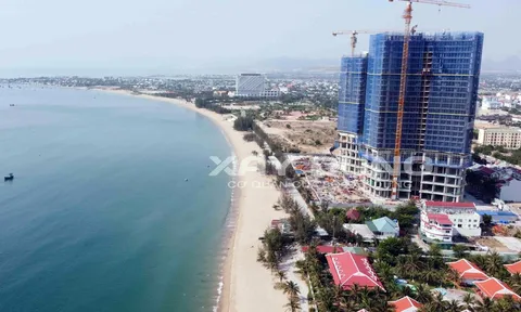 Ông “trùm” SunBay Park - Crystal Bay Nguyễn Đức Chi có góc khuất tai tiếng như thế nào?