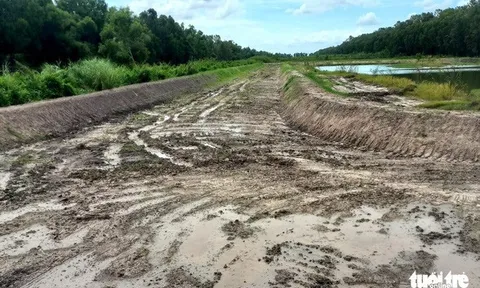 Xây trường đua bò không phép trong khu du lịch sinh thái