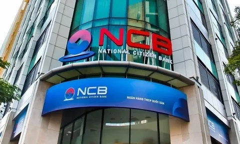 Nợ xấu của Ngân hàng NCB vọt lên 11%