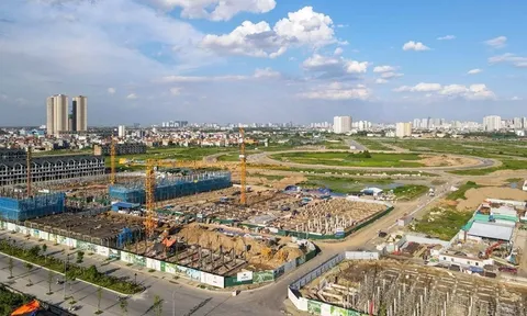 Những lùm xùm của Vietracimex trước khi đề xuất làm dự án 2,5 tỷ USD tại Bình Thuận