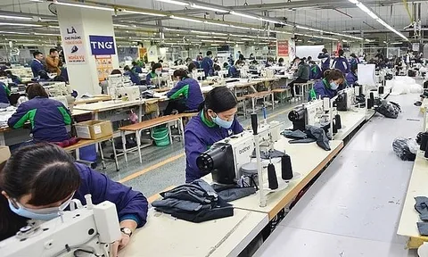 TNG bị Cục Thuế tỉnh Thái Nguyên “gõ đầu” do sai phạm về thuế