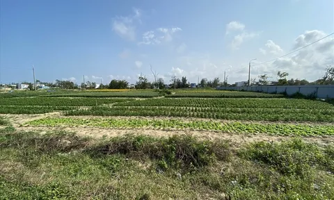 Quảng Nam: Nhà, đất nền dự án "vịt trời" ở KĐT Điện Nam - Điện Ngọc