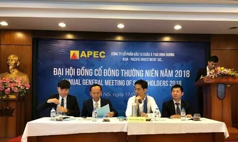 Chứng khoán APEC lỗ kỷ lục vì tự doanh cổ phiếu nội bộ