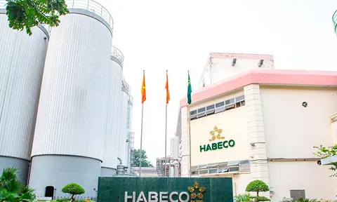 Thanh tra hàng loạt doanh nghiệp lớn: Habeco, Aeon, FPT, Grab, BRG…