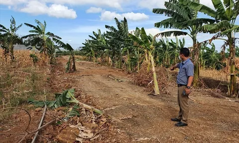 Phân lô, xây nhà trái phép ở TP.Buôn Ma Thuột: Tiếp tục xử lý thêm cán bộ