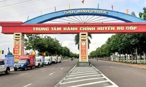 Dễ dàng loại đối thủ “quen”, Thành Liêm trúng gói thầu 116,255 tỷ