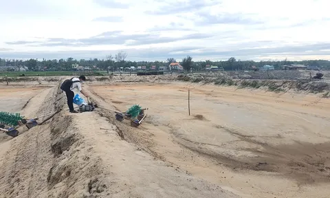 [Bài 1]: Báo động môi trường nuôi trồng thủy sản nước lợ bị suy thoái