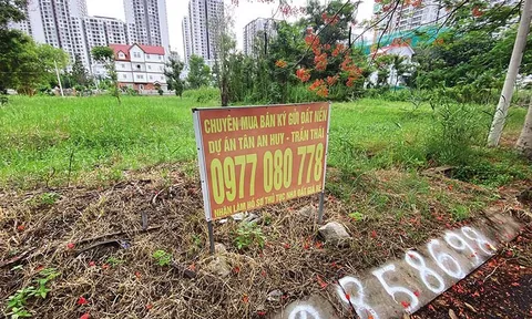 Phi lý đến không tưởng ở dự án Khu dân cư Tân An Huy - Bài 1: Ép khách đóng thêm tiền để trả nợ thuế của chủ đầu tư