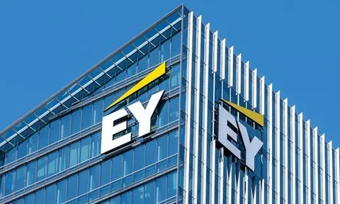 Đại gia kiểm toán EY Việt Nam: Thu gần nghìn tỷ, lãi bình quân vài tỷ đồng