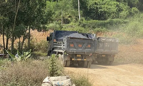 Quảng Ngãi: Công ty Lý Tuấn bán đất “chui” cho dự án khu dân cư