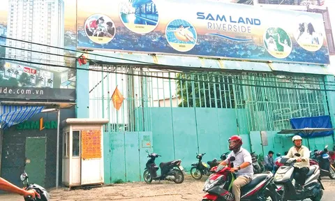 SAM Holdings kinh doanh kém vì chậm triển khai dự án