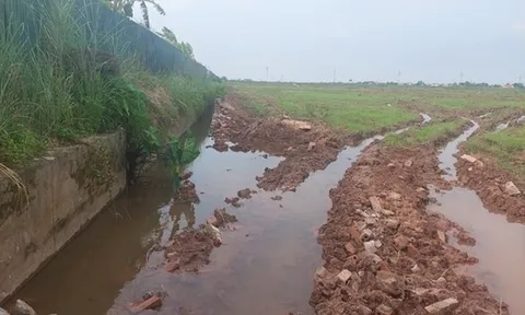 Tỉnh Phú Thọ chỉ đạo xử lý hành vi vi phạm pháp luật về thuỷ lợi