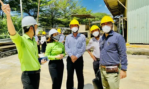 Cần đưa ra các giải pháp nào để nâng cao chỉ số quản trị môi trường?