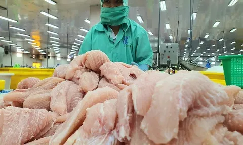 Tiếp tục chương trình cho vay ưu đãi với 5 nhóm doanh nghiệp tại TPHCM