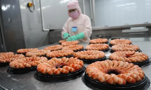Năm 2022, xuất khẩu tôm sang Trung Quốc tăng mạnh, xuất sang Mỹ giảm