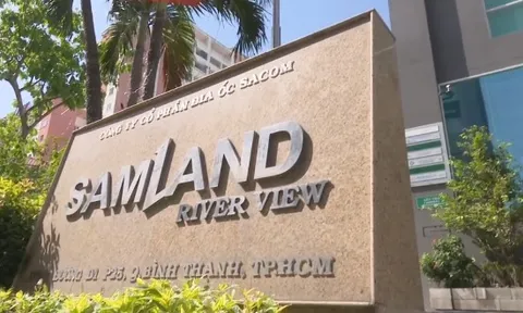 Địa ốc SamLand mất sạch thành quả kinh doanh vì đầu tư chứng khoán, "ôm" toàn cổ phiếu HPG, SSI