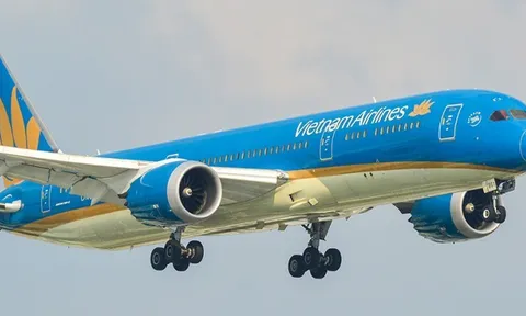 Những "lùm xùm" của hãng hàng không Vietnam Airlines