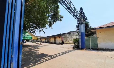 Công ty CP Nam Tiến bị nêu hàng loạt vi phạm tại khu đất vàng ở Tp.HCM