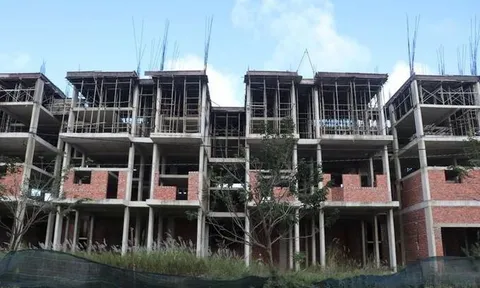 Điều tra dấu hiệu lừa đảo của nguyên Chủ tịch HĐQT Công ty STO