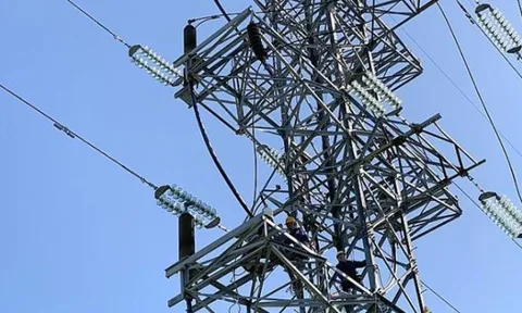 Một loạt nhà thầu bị tố làm giả năng lực tài chính để trúng những gói thầu trăm tỷ?