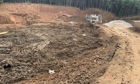 Như Xuân (Thanh Hóa): Ai “chống lưng” cho Công ty Trường Thanh?