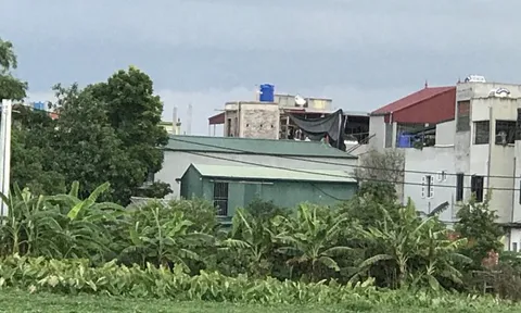 Thường Tín (Hà Nội): Chính quyền xã Tô Hiệu có đang “bất lực” để nhiều công trình xây dựng không phép trên đất nông nghiệp?