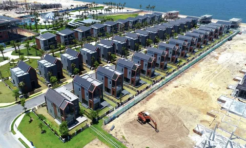 “Ồ ạt” đẩy nợ vay trái phiếu lên đỉnh 37.000 tỷ đồng, ai là trái chủ lớn của Novaland?