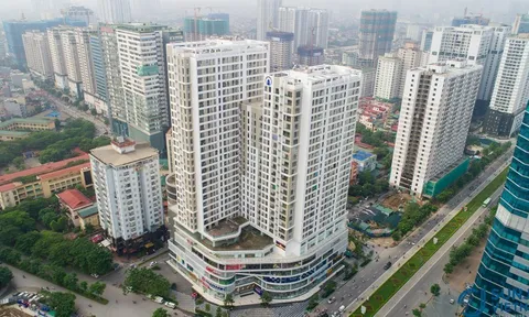 Hacinco: Điều chỉnh sai quy hoạch, đất công cộng ''hóa'' nhà ở 32 tầng?