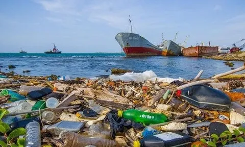 Phát động Cuộc thi ảnh “Ô nhiễm trắng và những tác động đến hệ sinh thái biển”