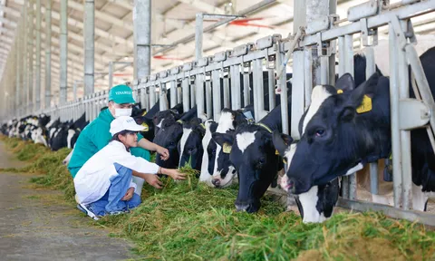 Những khoảnh khắc đẹp trên hành trình 15 năm của Quỹ sữa Vươn cao Việt Nam