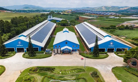 Vinamilk thuộc Top 50 Doanh nghiệp Phát triển Bền vững tiêu biểu 2022