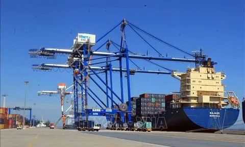 Doanh nghiệp vận tải - cảng biển trước thách thức giảm cầu